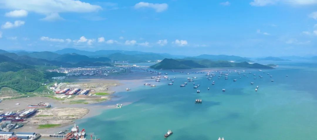 奉化区桐照渔港品质提升项目开始施工