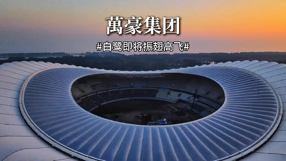 白鹭即将振翅高飞