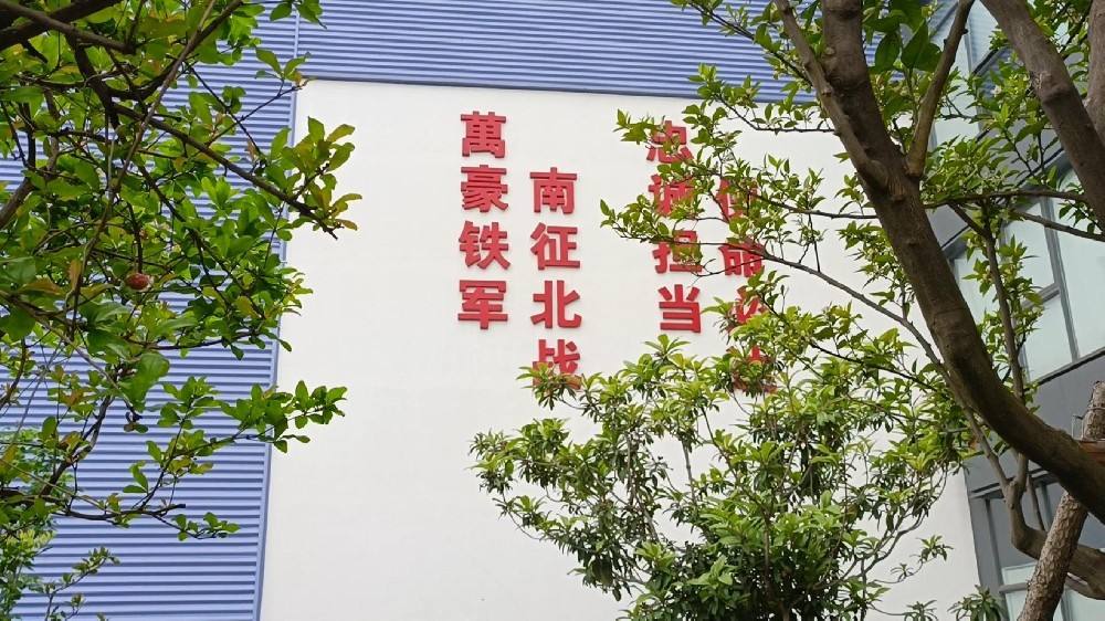 初夏的风让职场时光变得甜蜜