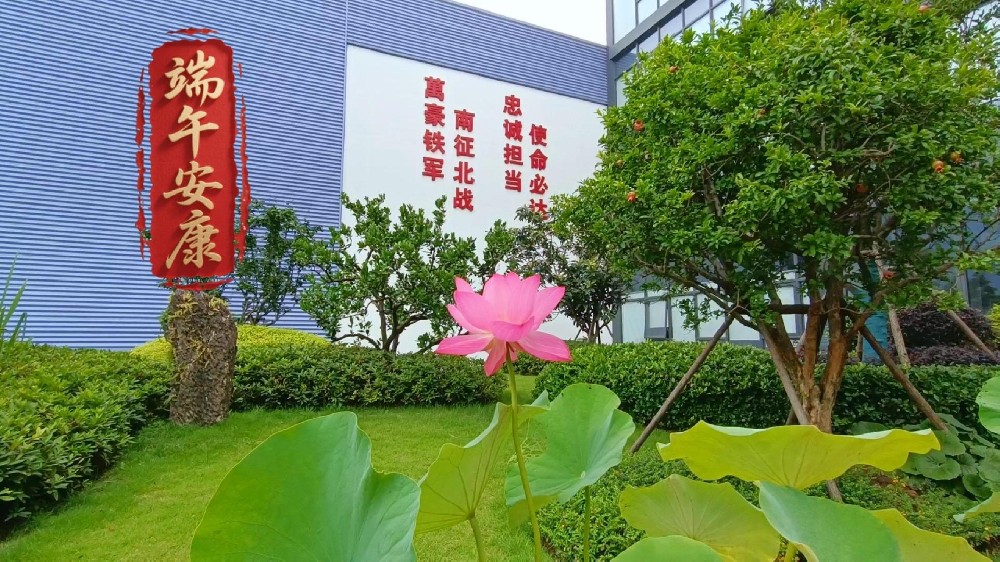 岁岁安康，粽享温情