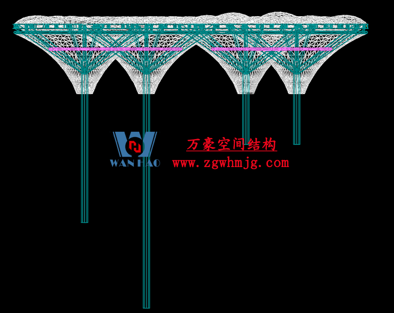 膜结构